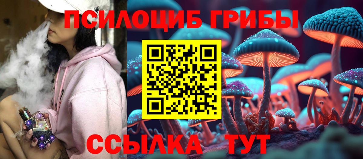 Псилоцибиновые грибы мицелий  Галлюциногенные грибы Psilocybe  Вход с VPN  магазин    Тавда 